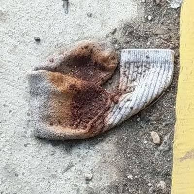 Sock